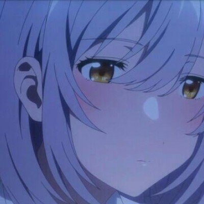 女子称猫咪被卡自动猫砂盆死亡